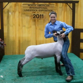 Massey Successes